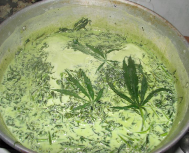 Как приготовить из конопли марихуану адыгея конопля